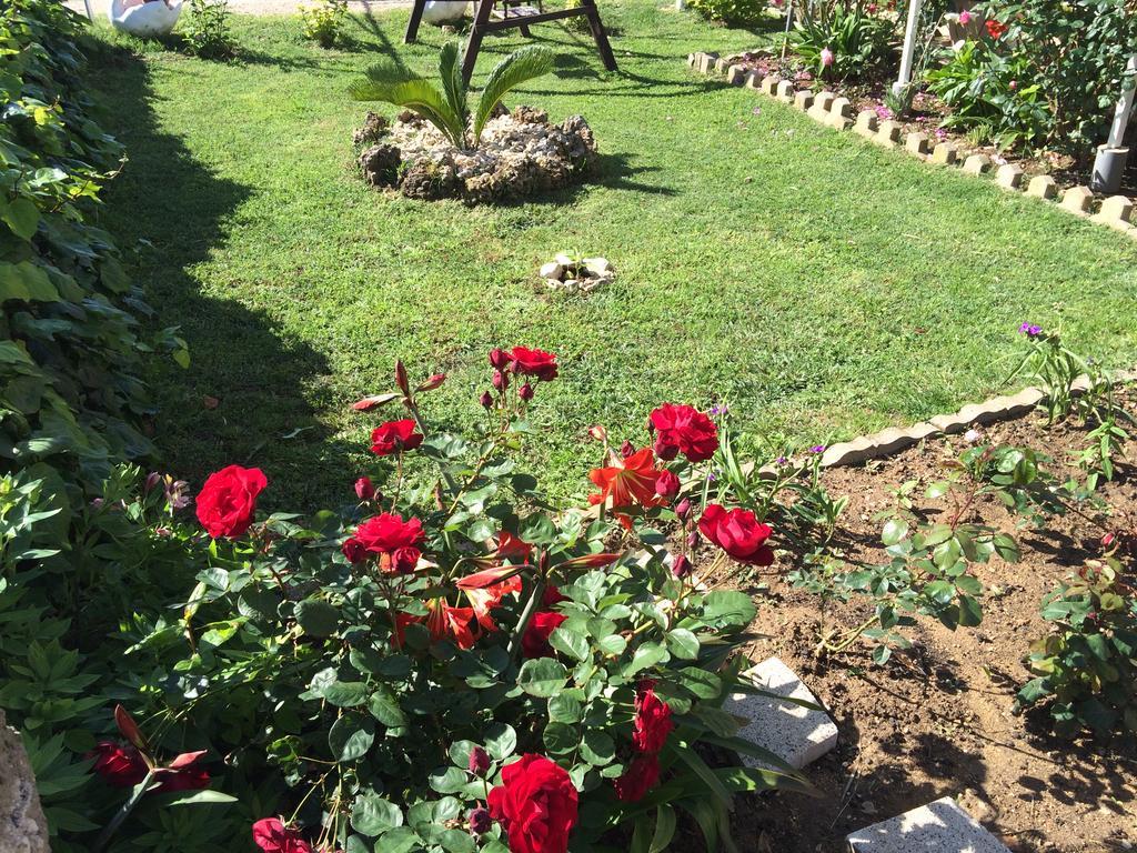 Apartments Lolo Privlaka  Luaran gambar